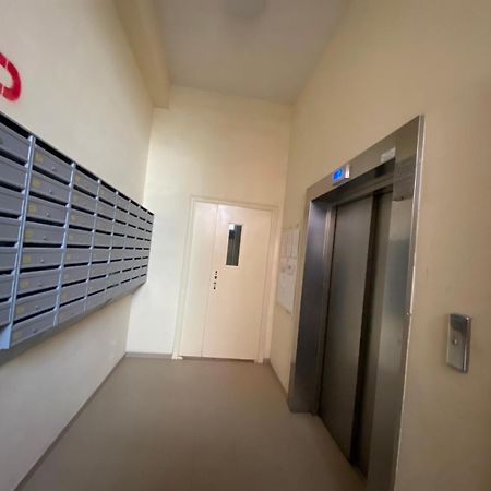 All New Apartment With Best View Near Shopping Malldova Kişinev Dış mekan fotoğraf